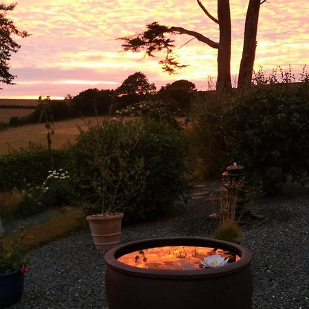 Bed and Breakfast Horsna Parc Retreat Saint Tudy Exterior foto