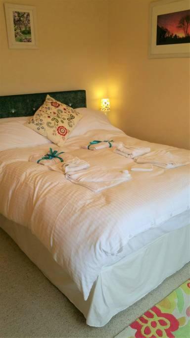 Bed and Breakfast Horsna Parc Retreat Saint Tudy Exterior foto