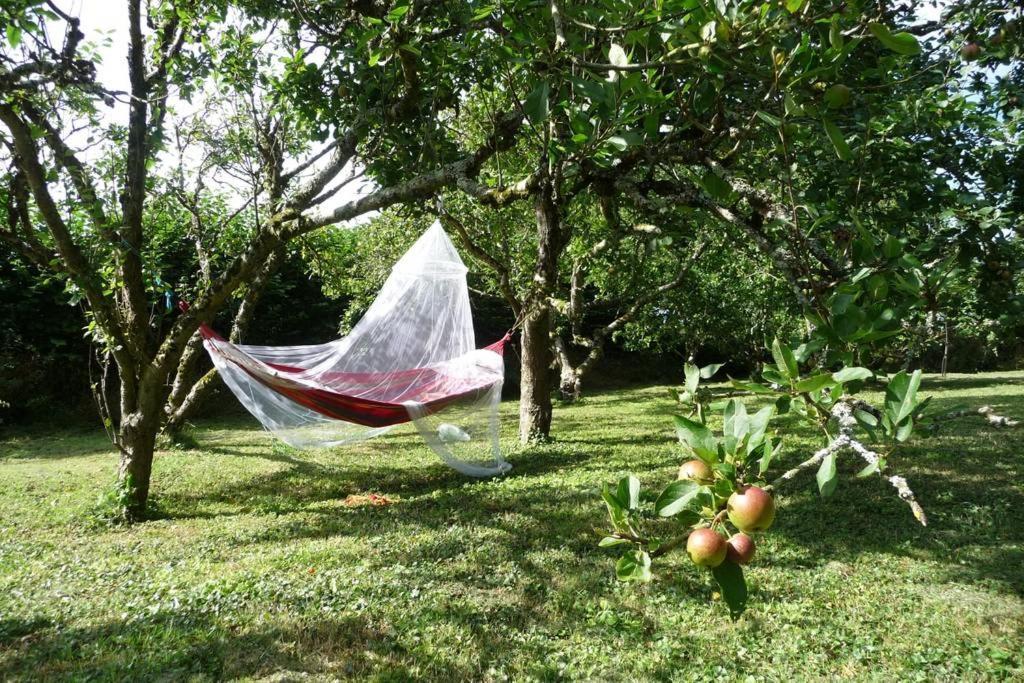 Bed and Breakfast Horsna Parc Retreat Saint Tudy Exterior foto